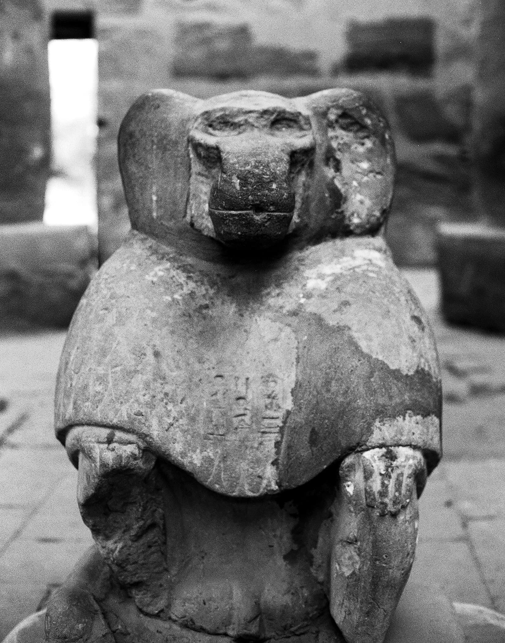 Egypt photograph 8 of 71