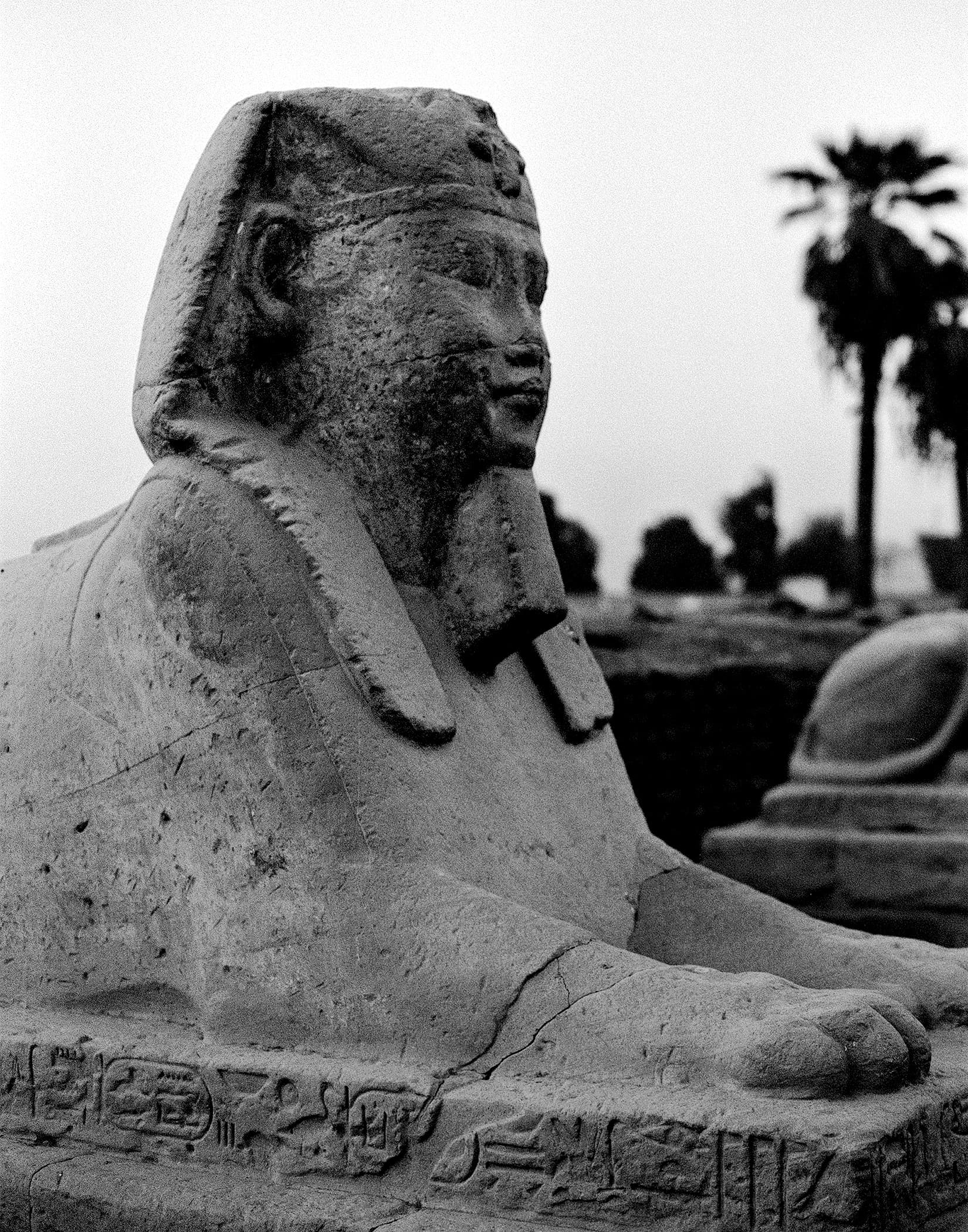 Egypt photograph 10 of 71