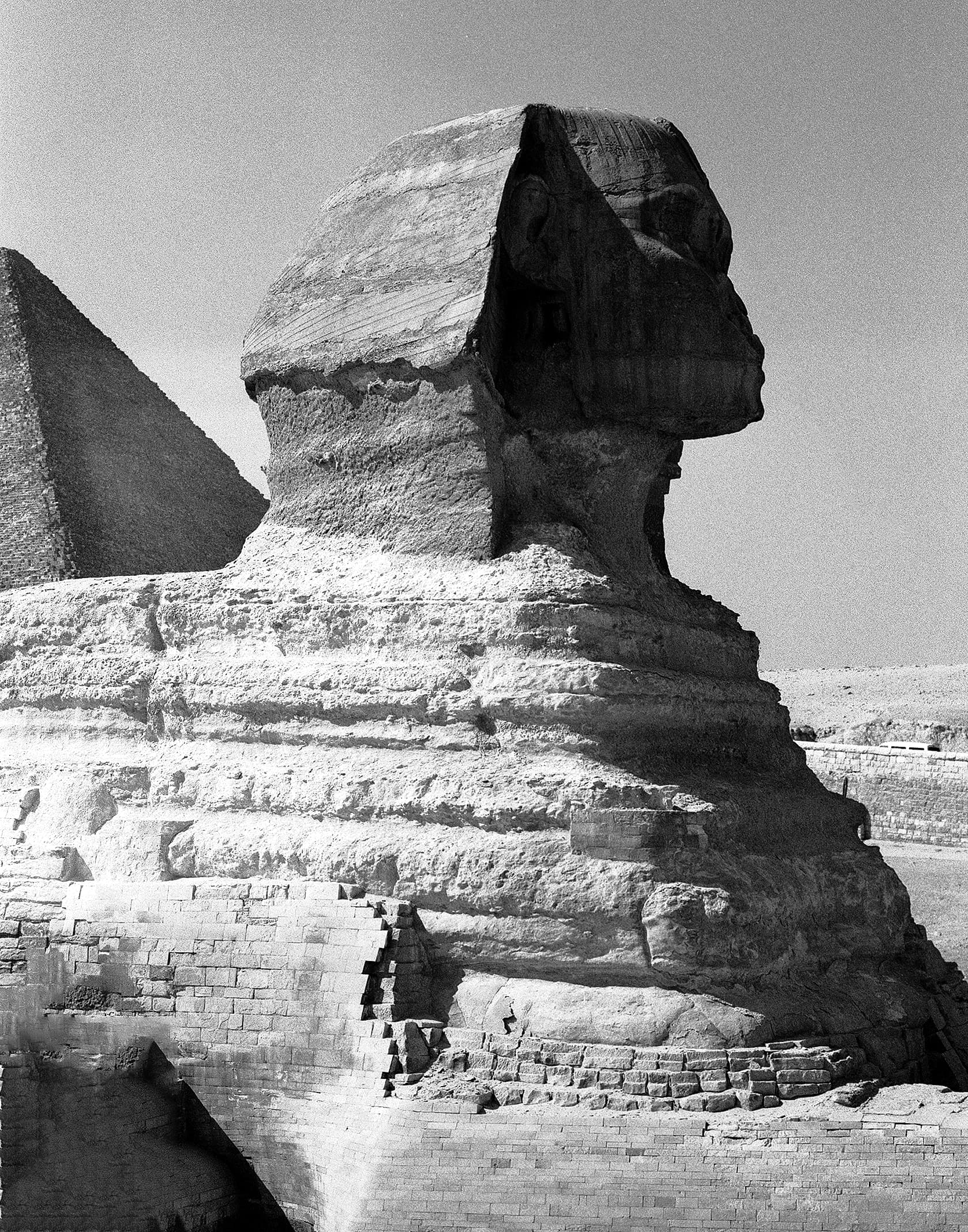 The Sphinx framed by the Giza pyramids
