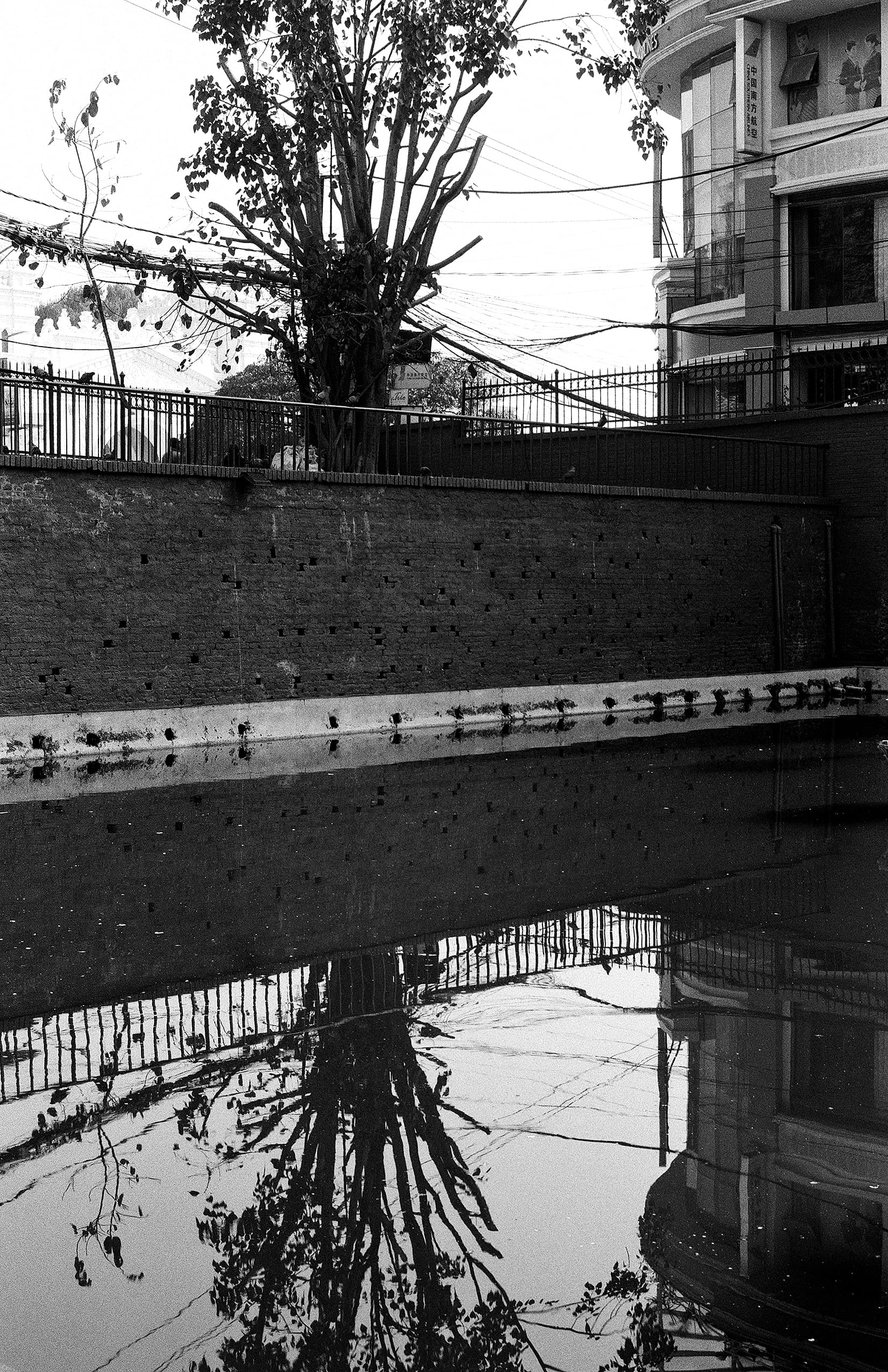 Tree, railings and building reflected in a still pond