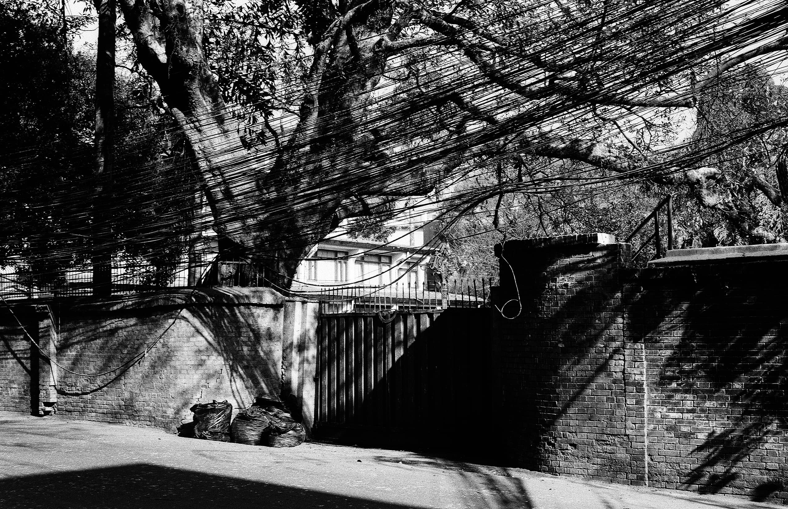 Dense bundles of overhead wires above a brick wall and gate