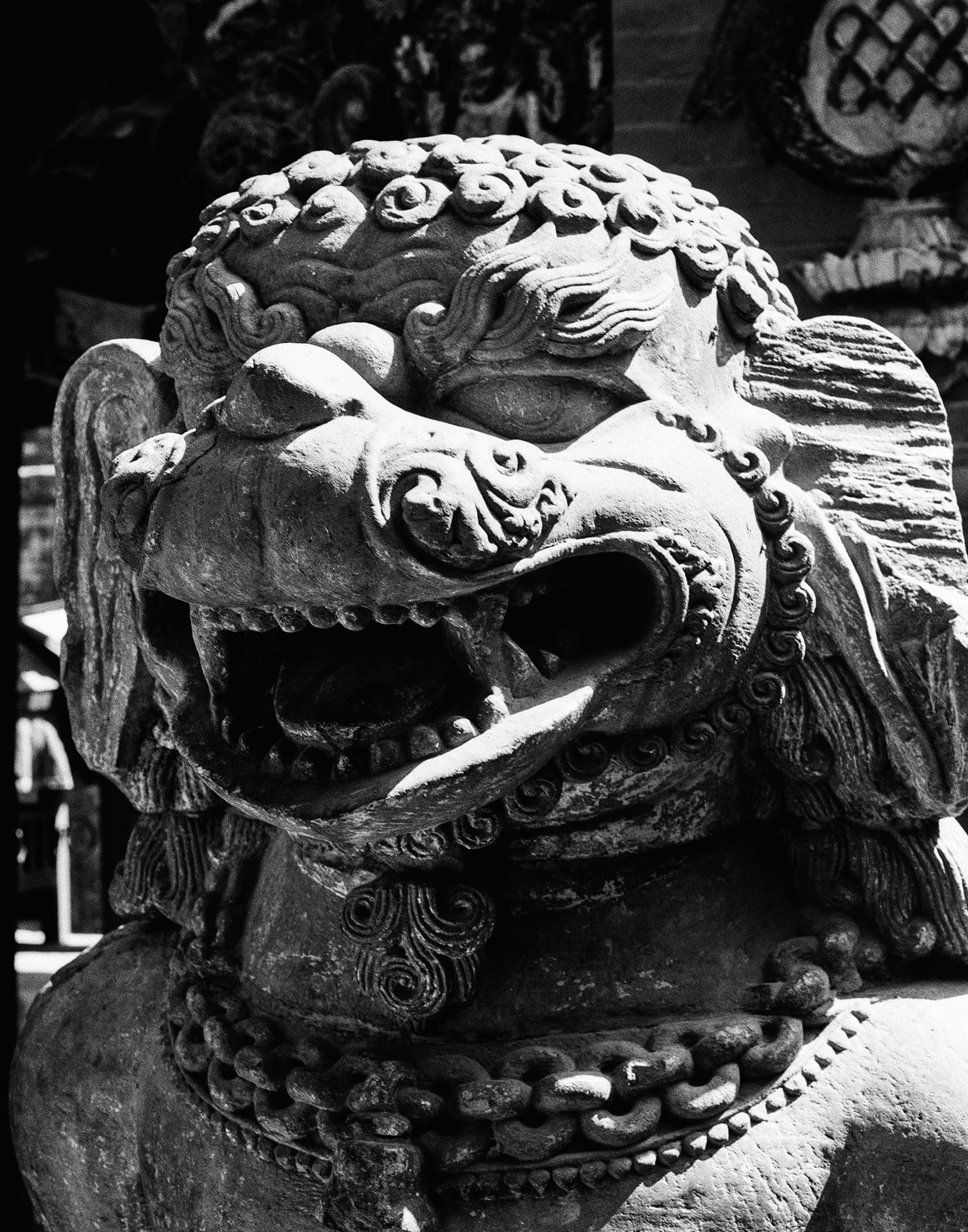 Close portrait of a carved guardian lion statue