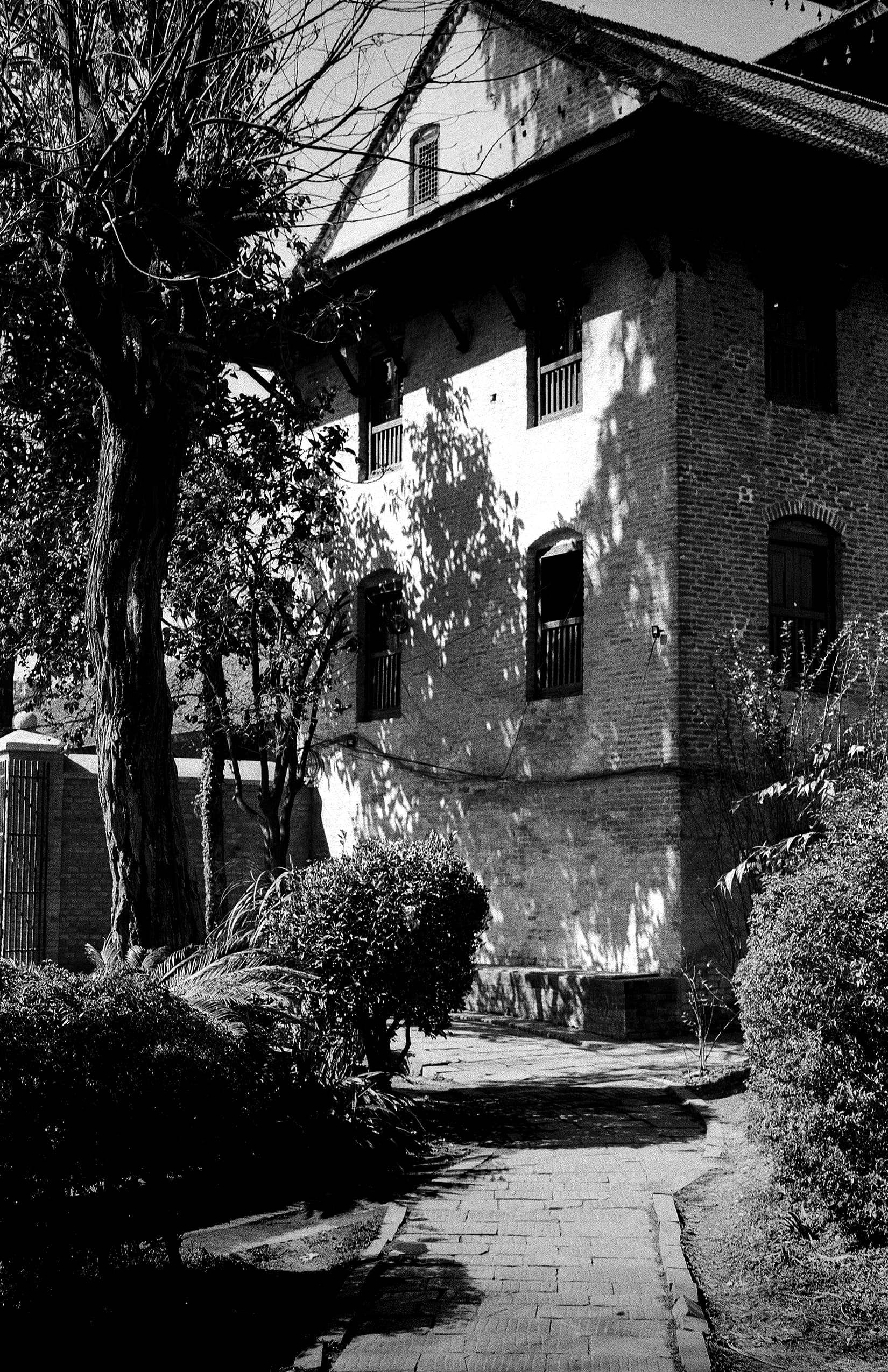 Sunlit brick house and garden walkway beneath a large tree