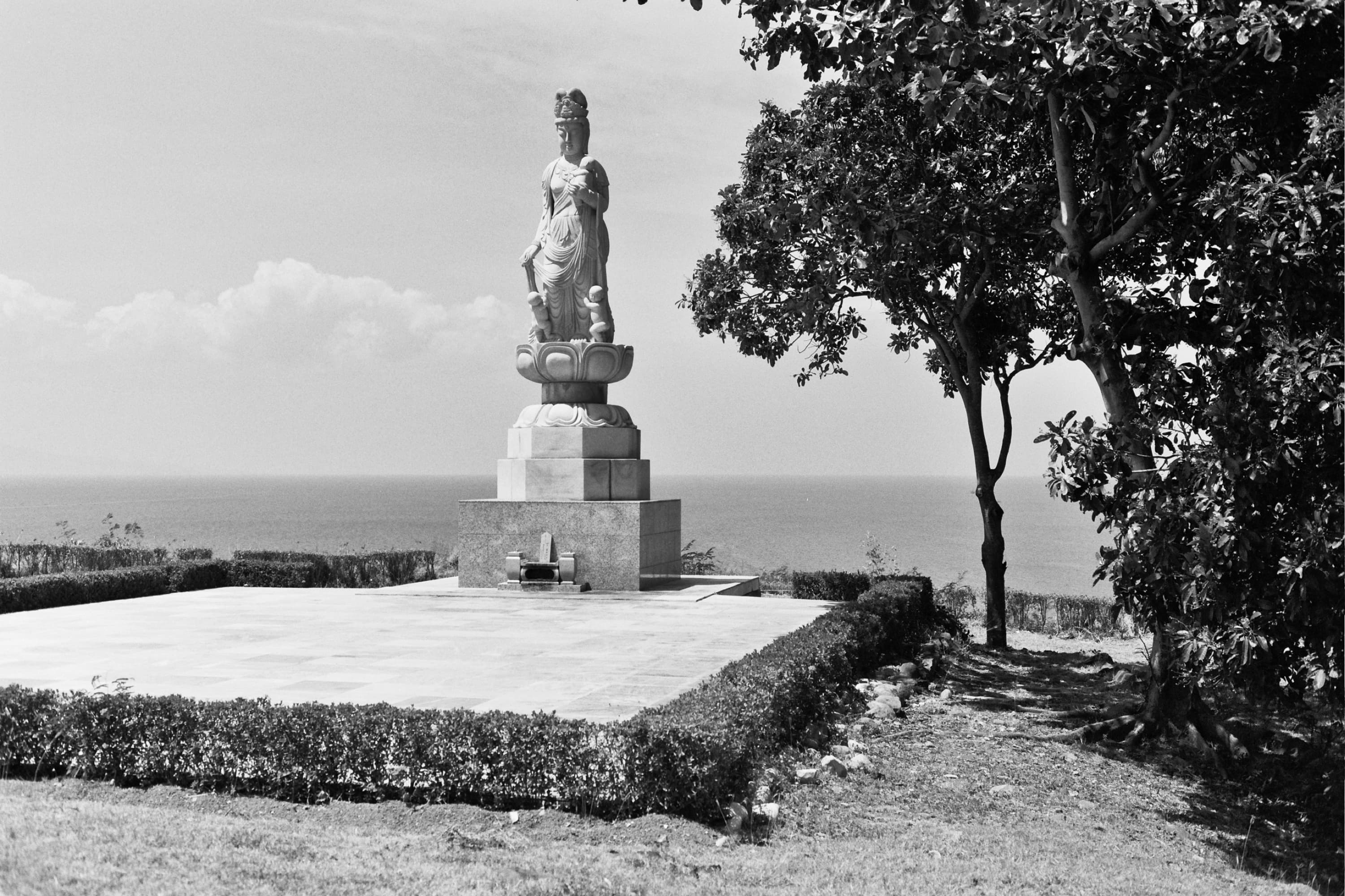 White Kannon statue on a stone plinth overlooking the sea, framed by a hedge and tree