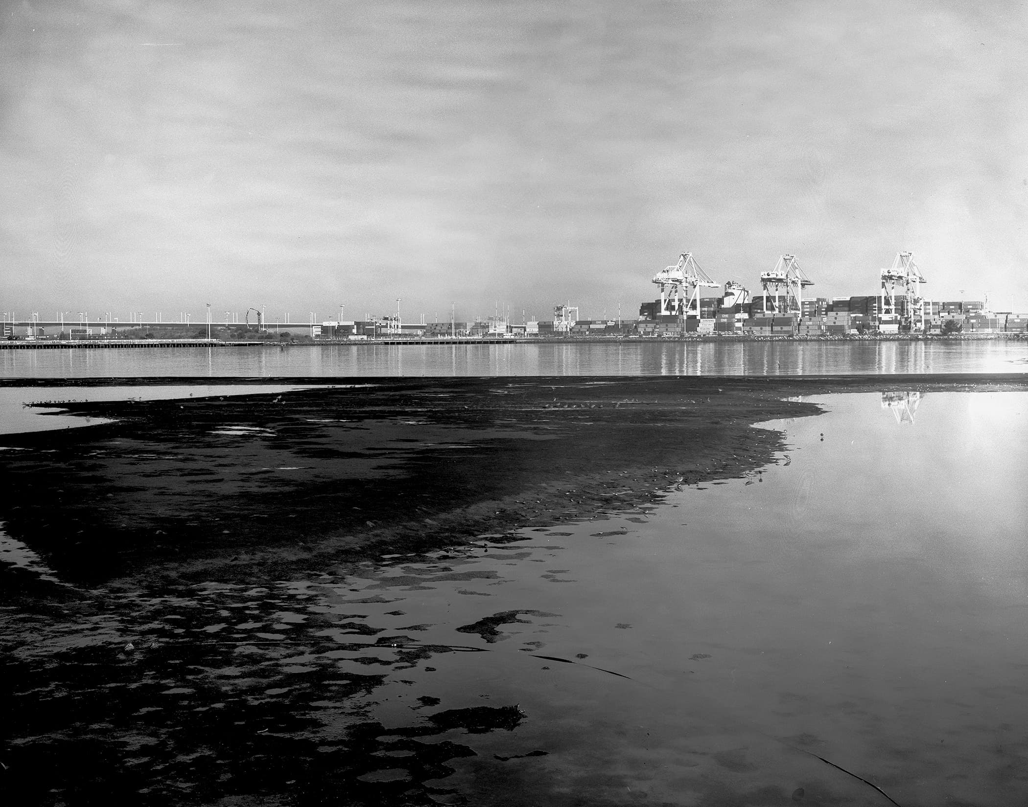 Black-and-white cargo ship lined with tall loading cranes at the harbor